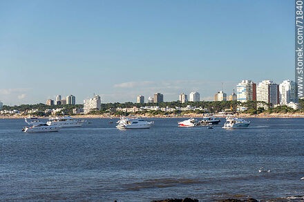 Yachts anchored in the bay - Punta del Este and its near resorts - URUGUAY. Photo #71840