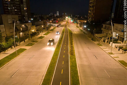 Aerial view of the L. A. de Herrera Avenue bicycle lane at night - Department of Montevideo - URUGUAY. Photo #71989