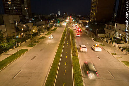 Aerial view of the L. A. de Herrera Avenue bicycle lane at night - Department of Montevideo - URUGUAY. Photo #71987
