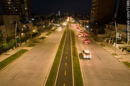 Aerial view of the L. A. de Herrera Avenue bicycle lane at night - Department of Montevideo - URUGUAY. Photo #71986