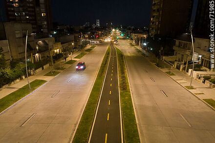 Aerial view of the L. A. de Herrera Avenue bicycle lane at night - Department of Montevideo - URUGUAY. Photo #71985
