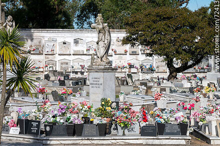 Cementerio de Florida - Departamento de Florida - URUGUAY. Foto No. 72413