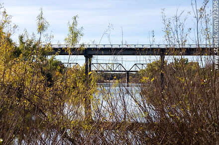 Puentes carretero y ferroviario sobre el río Santa Lucía. Ruta 5 - Departamento de Florida - URUGUAY. Foto No. 72396