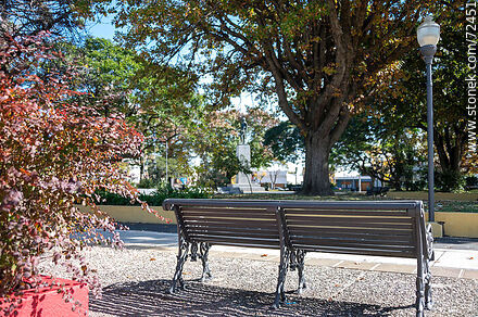 Plaza Artigas sobre la calle Sarandí - Departamento de Florida - URUGUAY. Foto No. 72451