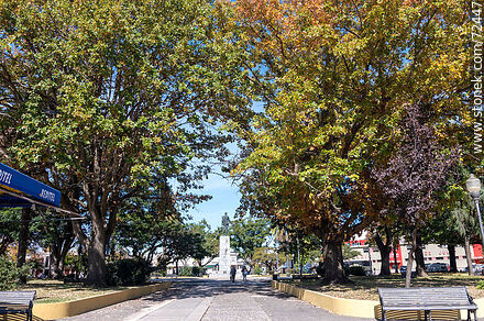 Artigas Square on Sarandí Street - Department of Florida - URUGUAY. Photo #72447