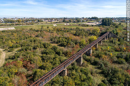 Vista aérea del puente ferroviario que cruza el río Santa Lucía en Florida - Departamento de Florida - URUGUAY. Foto No. 72526