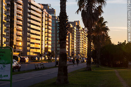 Amanecer invernal en la rambla Mahatma Gandhi - Departamento de Montevideo - URUGUAY. Foto No. 72794