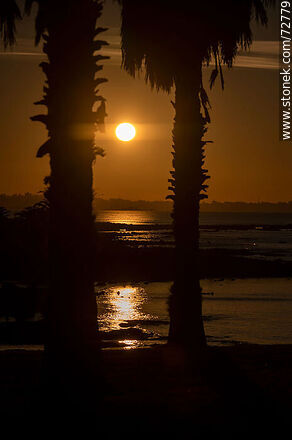 Sol del amanecer entre palmeras y el mar - Departamento de Montevideo - URUGUAY. Foto No. 72779