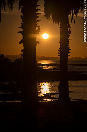 Sol del amanecer entre palmeras y el mar - Departamento de Montevideo - URUGUAY. Foto No. 72780