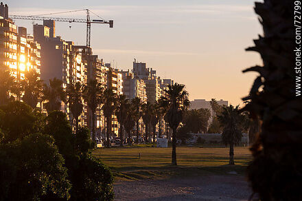 Winter sunrise on Mahatma Gandhi Boulevard - Department of Montevideo - URUGUAY. Photo #72799