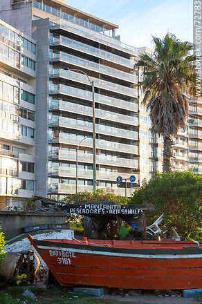 Batibote in front of Gandhi Rambla - Department of Montevideo - URUGUAY. Photo #72783