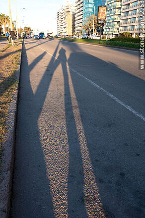 The shadow of the photographer -  - MORE IMAGES. Photo #72753