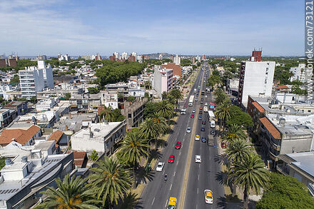Vista aérea de Bulevar Artigas - Departamento de Montevideo - URUGUAY. Foto No. 73121
