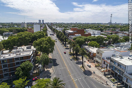 Vista aérea de Bulevar Artigas - Departamento de Montevideo - URUGUAY. Foto No. 73119