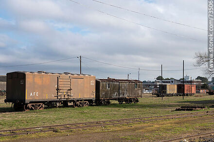 Vagones antiguos de la estación de trenes de Rivera - Departamento de Rivera - URUGUAY. Foto No. 73506