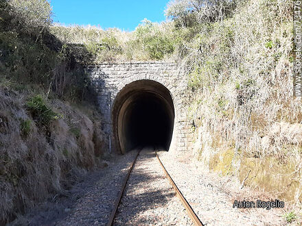 Una de las entradas al único túnel ferroviario en la línea entre Tacuarembó y Rivera - Departamento de Tacuarembó - URUGUAY. Foto No. 73476