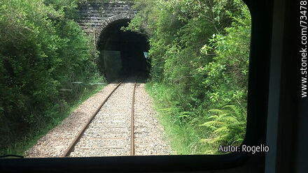 Una de las entradas al único túnel ferroviario en la línea entre Tacuarembó y Rivera previo de su reacondicionamiento - Departamento de Tacuarembó - URUGUAY. Foto No. 73478
