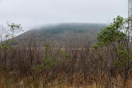 Cerro Miriñaque in the mist - Department of Rivera - URUGUAY. Photo #73651