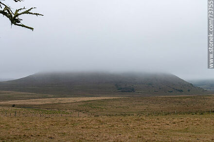 Cerro Miriñaque bajo la niebla - Departamento de Rivera - URUGUAY. Foto No. 73755