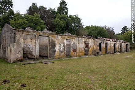 Ruinas próximas a la casa del director de la empresa francesa de minería - Departamento de Rivera - URUGUAY. Foto No. 73774