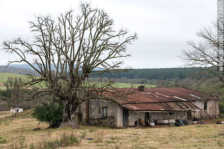 Casa en el predio - Departamento de Rivera - URUGUAY. Foto No. 73805