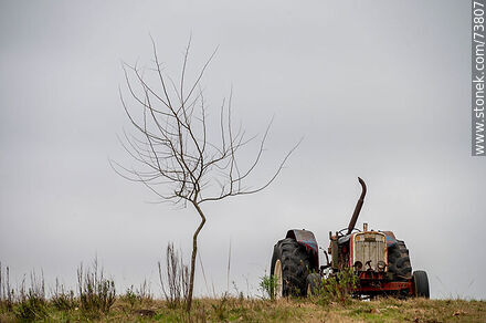 Antiguo tractor y arbolito pelado - Departamento de Rivera - URUGUAY. Foto No. 73807