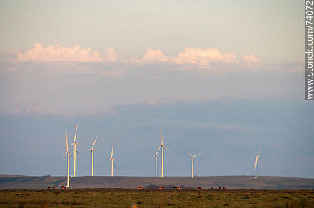 Wind energy windmill field - Tacuarembo - URUGUAY. Photo #74072