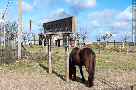 Horse grazing under one of the station signs - Tacuarembo - URUGUAY. Photo #74187