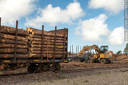 Vagones de carga con troncos que vienen del norte para descargar en camiones (2021) - Departamento de Tacuarembó - URUGUAY. Foto No. 74173