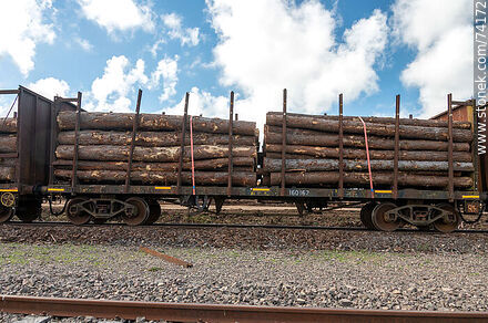 Freight wagons with logs coming from the north for unloading onto trucks (2021) - Tacuarembo - URUGUAY. Photo #74172