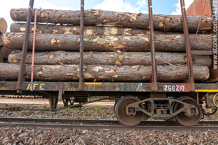 Vagones de carga con troncos que vienen del norte para descargar en camiones (2021) - Departamento de Tacuarembó - URUGUAY. Foto No. 74171