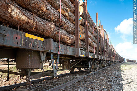Vagones de carga con troncos que vienen del norte para descargar en camiones (2021) - Departamento de Tacuarembó - URUGUAY. Foto No. 74169