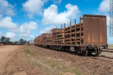 Vagones de carga con troncos que vienen del norte para descargar en camiones (2021) - Departamento de Tacuarembó - URUGUAY. Foto No. 74168