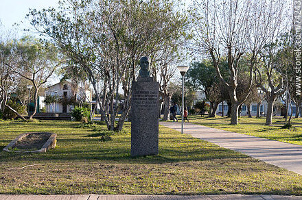 Busto del Dr. Mario Montoro Guarch, primer médico de Fraile Muerto - Departamento de Cerro Largo - URUGUAY. Foto No. 74243