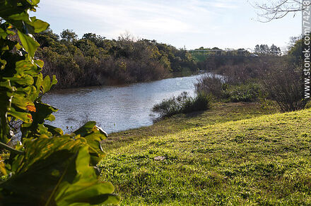 Parque a las orillas del arroyo Fraile Muerto - Departamento de Cerro Largo - URUGUAY. Foto No. 74248