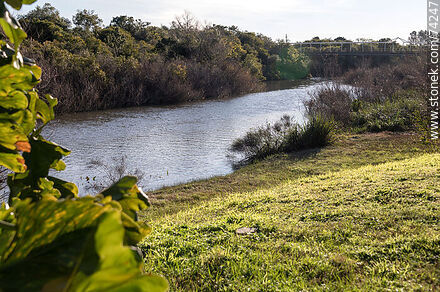 Parque a las orillas del arroyo Fraile Muerto - Departamento de Cerro Largo - URUGUAY. Foto No. 74247