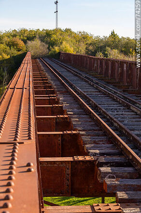 Puente ferroviario sobre el arroyo Fraile Muerto - Departamento de Cerro Largo - URUGUAY. Foto No. 74259
