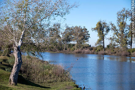 Arroyo Conventos - Departamento de Cerro Largo - URUGUAY. Foto No. 74304