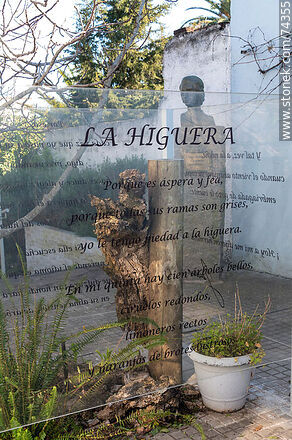Casa de Juana de Ibarbourou. La Higuera - Departamento de Cerro Largo - URUGUAY. Foto No. 74355