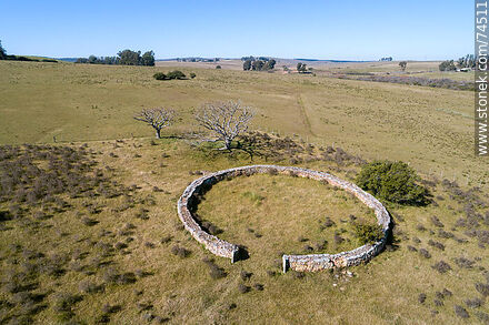 Aerial view of a circular stone fence - Department of Cerro Largo - URUGUAY. Photo #74511