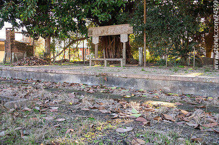 Old Rio Branco train station. Platform and sign with the name. Tracks covered by leaves. - Department of Cerro Largo - URUGUAY. Photo #74599