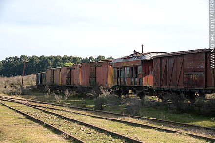 José Pedro Varela train station. Old freight and passenger cars - Lavalleja - URUGUAY. Photo #74899