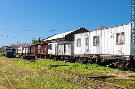 Estación de trenes Cazot en San Bautista. Fila de antiguos vagones de carga - Departamento de Canelones - URUGUAY. Foto No. 75137