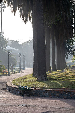 Winter sunrise in the park - Department of Montevideo - URUGUAY. Photo #75212