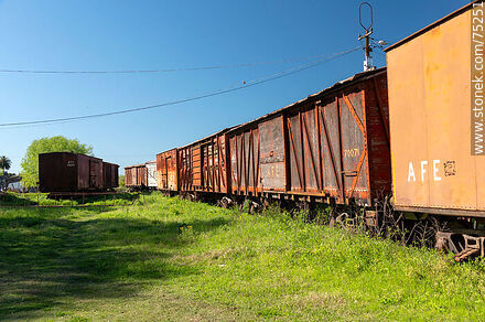 Estación de ferrocarril de San Ramón. Antiguos vagones de carga construidos de madera y hierro - Departamento de Canelones - URUGUAY. Foto No. 75251