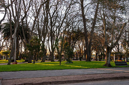 Plaza - Departamento de Canelones - URUGUAY. Foto No. 75324