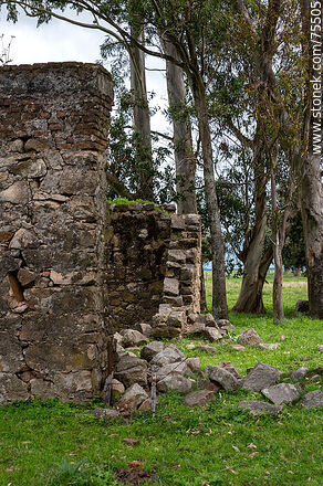 Ruins at the bottom of what used to be the Reboledo Club - Department of Florida - URUGUAY. Photo #75505