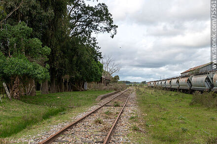 Antigua estación de trenes Mansavillagra - Departamento de Florida - URUGUAY. Foto No. 75561