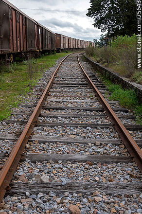 Estación de ferrocarril de Illescas - Departamento de Florida - URUGUAY. Foto No. 75643