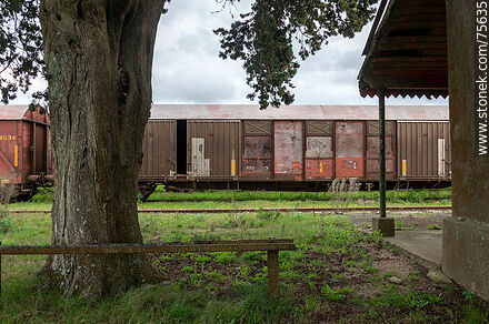 Freight wagons in front of Illescas railroad station - Department of Florida - URUGUAY. Photo #75635